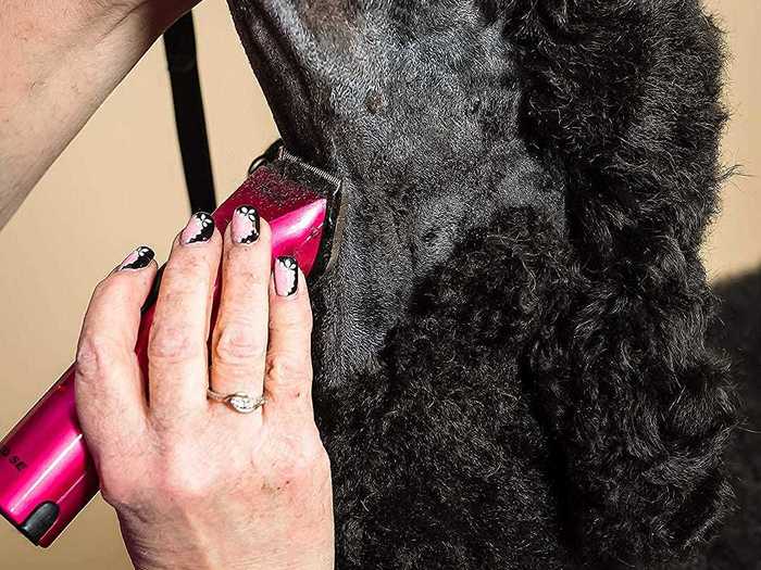 Electric clippers for removing messy fluff