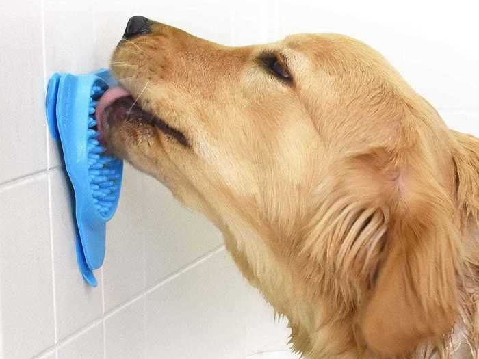 A lickable treat dispenser to distract your dog during their bath