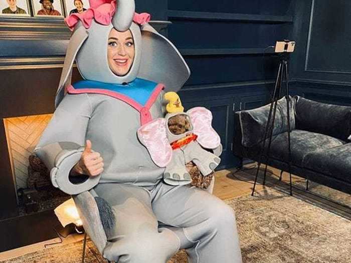 To perform "Baby Mine" from Dumbo, Perry dressed up as an elephant and had her dog by her side.