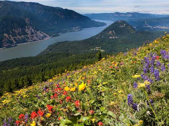 The Columbia River is the largest river in the Pacific Northwest.