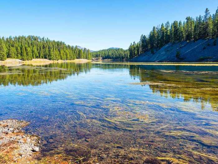 Yellowstone River is known for its gorgeous scenery in Yellowstone National Park.