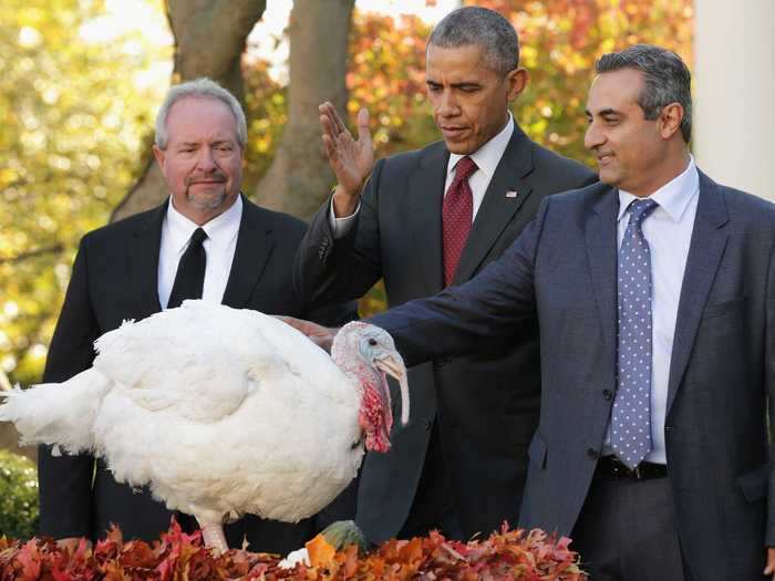 Thanksgiving has inspired some unique offshoot traditions, like the presidential turkey pardon.