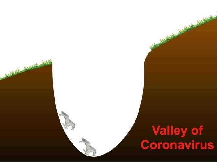 The unicorns stumble into the "Valley of Coronavirus" — but Son continued with a straight face.