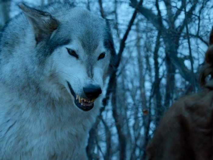 Where is Nymeria with her pack of wolves?