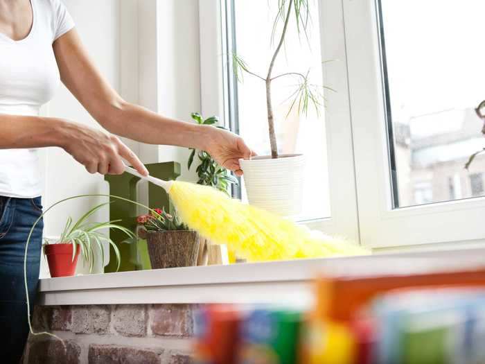 "Feather dusters remove dust."