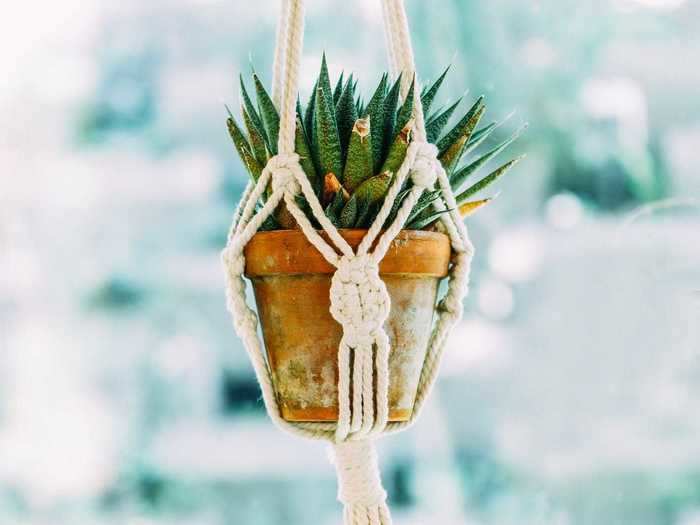 Make your own macrame art piece or plant holder.