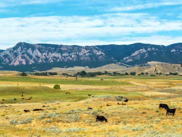 The Bighorn Mountains feature a diverse topography including prairies, valleys, deserts, and waterfalls.