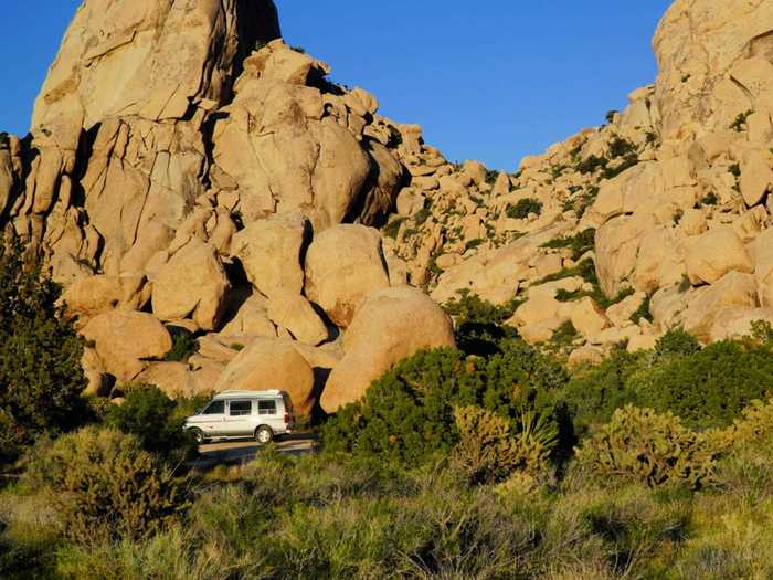 While parked in the Mojave Desert, hordes of gnats descended upon Hanes and her partner around dinnertime, landing on them and their food.