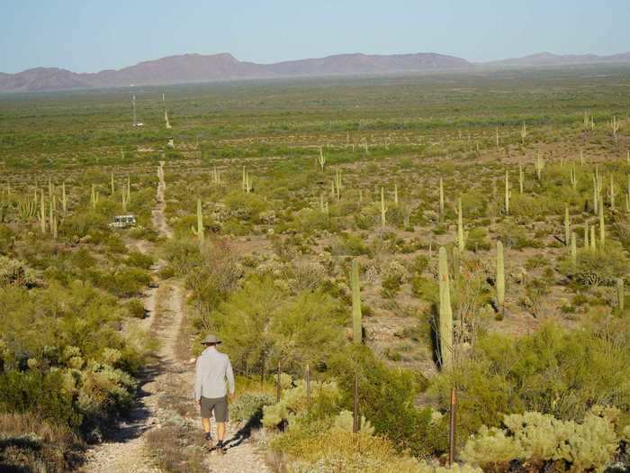 "I think that really helps with the sheltering in place aspect — just being outside and having access to nature and hiking," Hanes said. "I think it