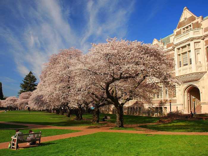 24. University of Washington