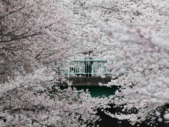 A train getaway across Japan.