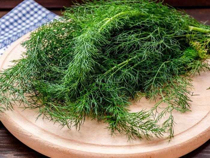 Dill is another more classic addition that