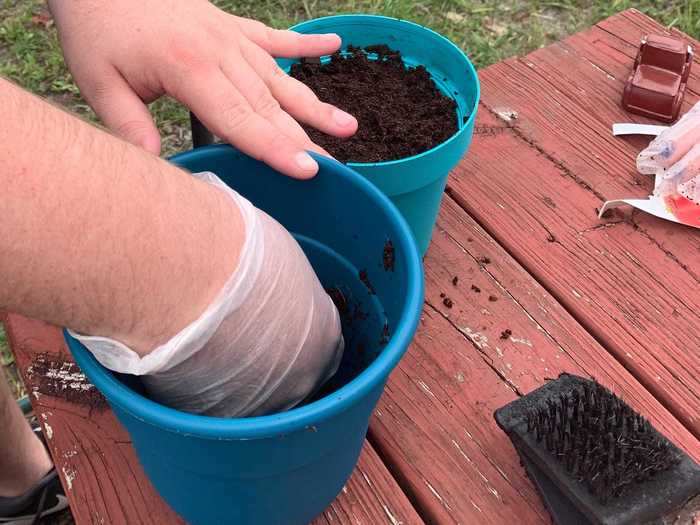 The most hands-on part of gardening is during the planting stage.