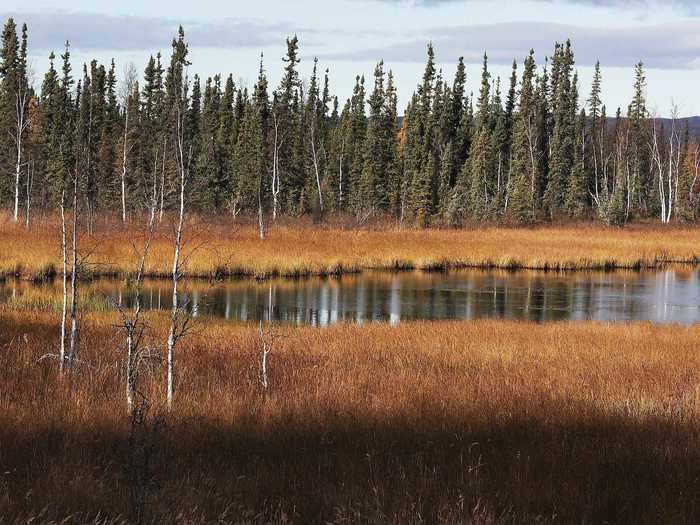 4. North Slope Borough, Alaska, had a population of 9,832 and a population density of 0.11 people per square mile in 2019.