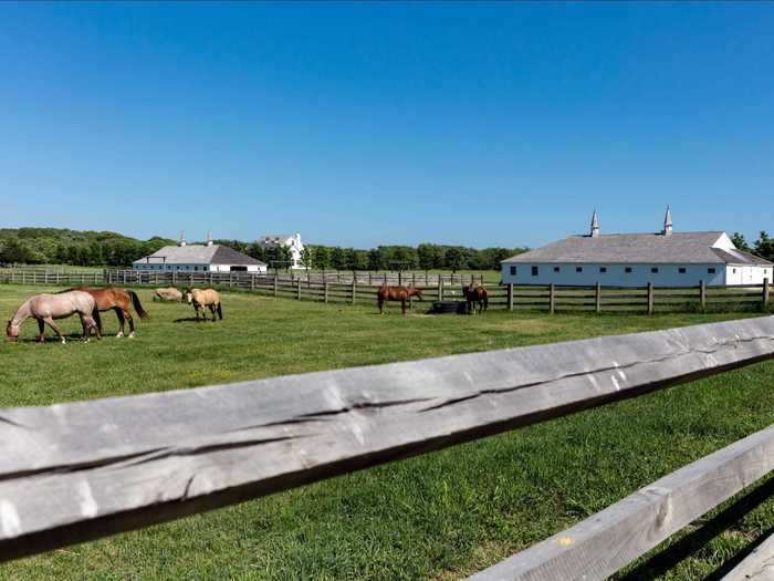 The adjacent 24-acre horse farm is still owned by the Drexler family, Curbed reported.