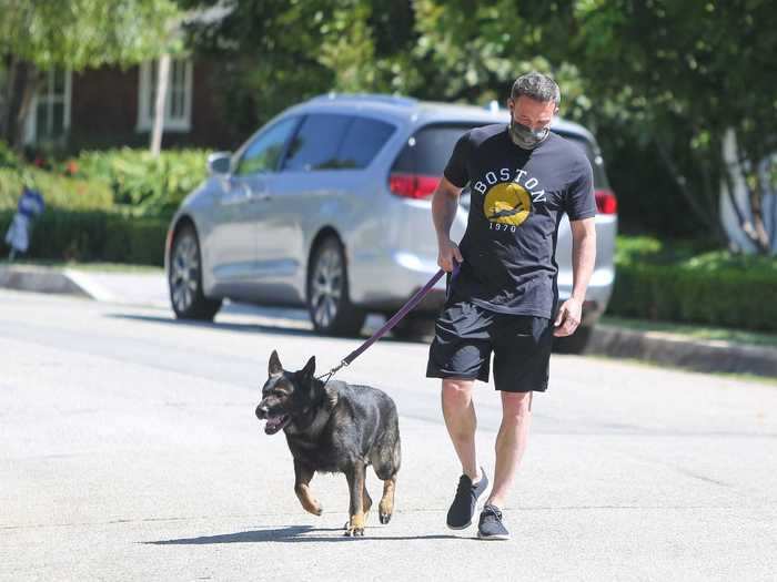 Affleck was also spotted on his own, taking his German shepherd for a walk.