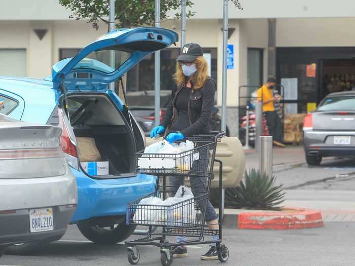 Academy Award winner Allison Janney looked just like the rest of us as she loaded groceries into the back of her car while wearing a mask and gloves.