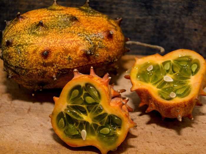 Horned cucumbers resemble blowfish and are common in Africa.