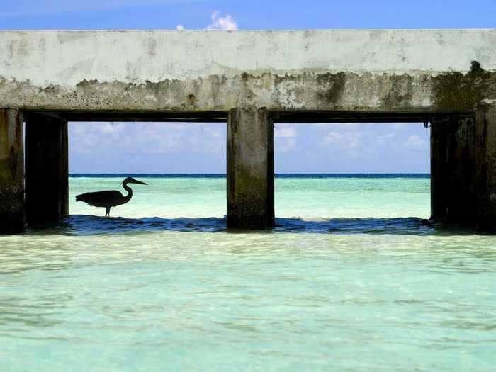 Heron Island, Australia