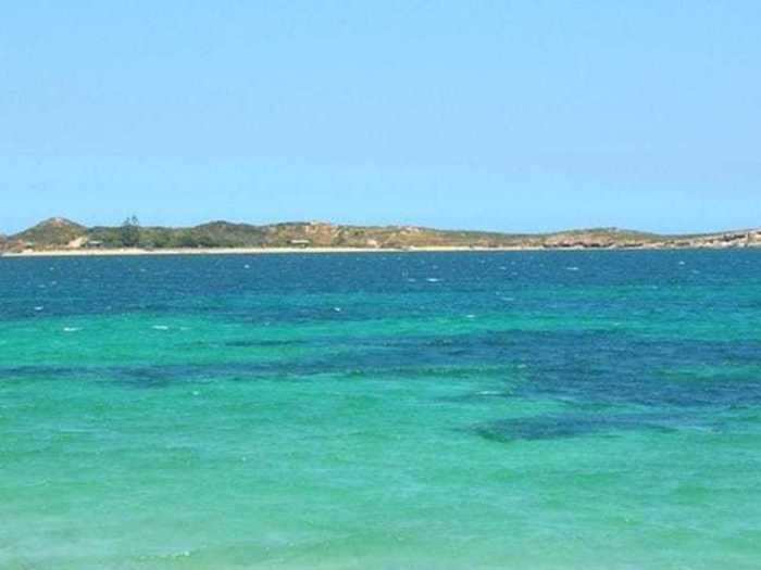 Penguin Island, Western Australia