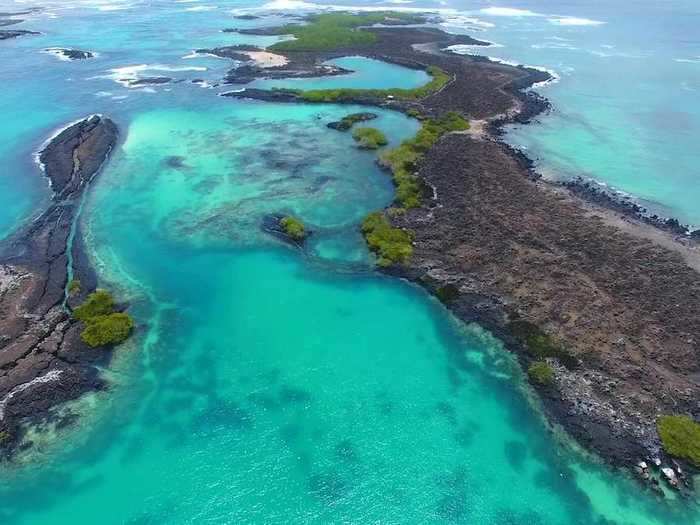 Galapagos Islands, Ecuador