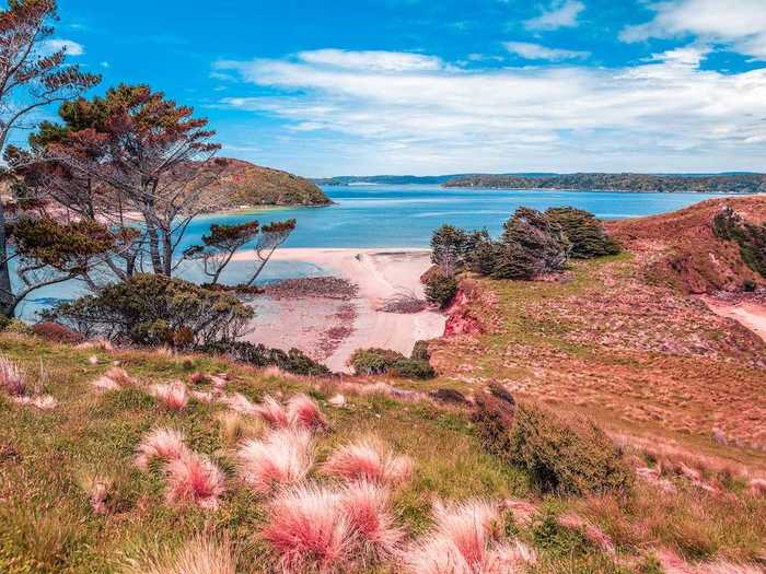 Stewart Island, New Zealand