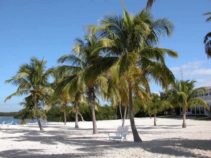 Islamorada, USA