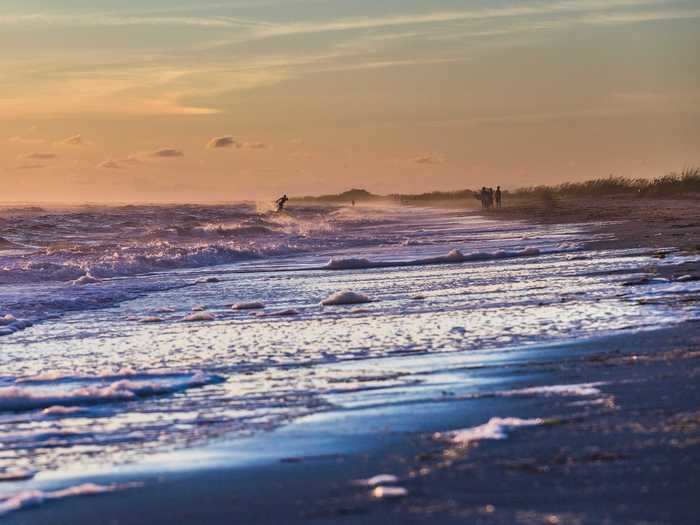 Don Pedro Island in Florida, United States, has an abundance of wildlife.