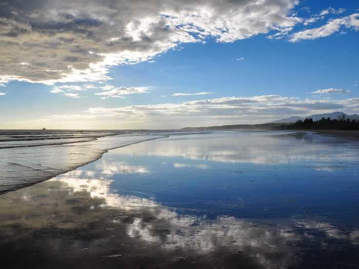 You might find sea turtles at the Playa El Esteron in San Miguel, El Salvador.