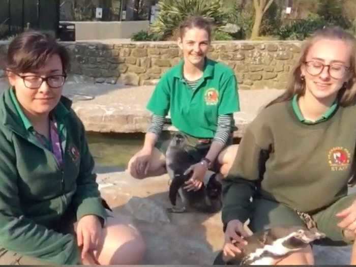 Four zookeepers at the Paradise Park in Cornwall, England, moved into the wildlife sanctuary in order to stay isolated and keep their animals fed.