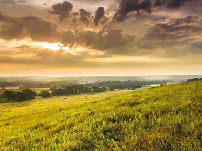 Tallgrass Prairie Natural Reserve in Kansas is the only national park dedicated to preserving the tallgrass prairie ecosystem full of forbs, flowers, trees, and shrubs.