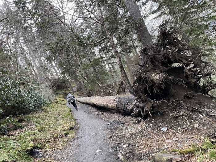 TENNESSEE: Alum Cave Trail to Mount LeConte near Gatlinburg