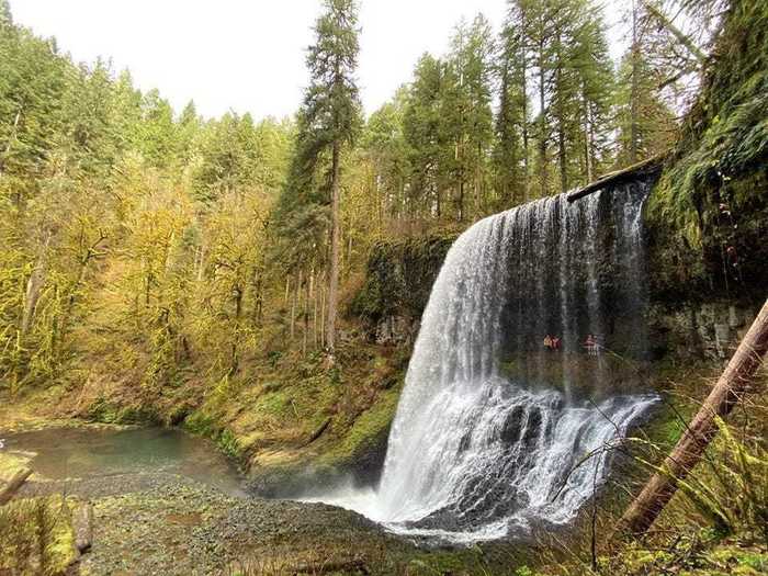 OREGON: Trail of Ten Falls near Silverton