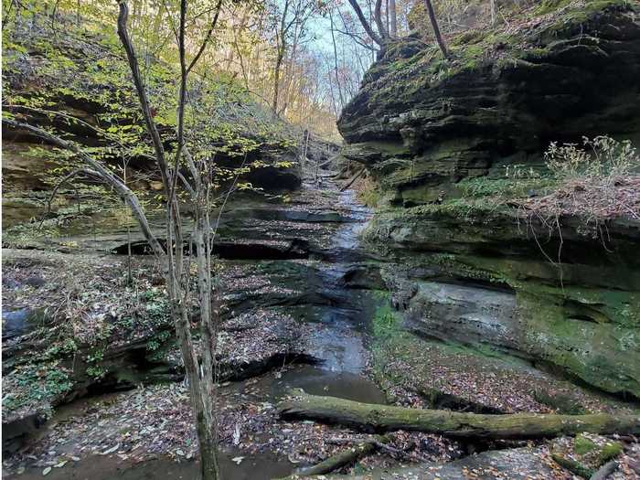 ILLINOIS: Little Grand Canyon Trail near Pomona