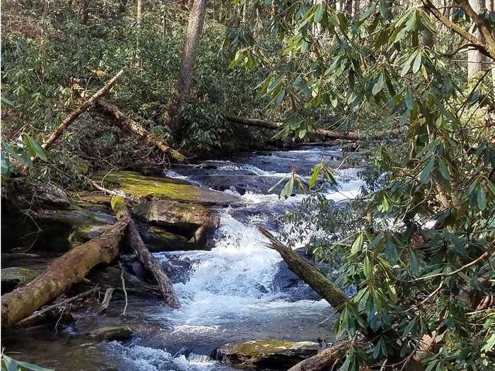 GEORGIA: Raven Cliff Falls Trail near Helen