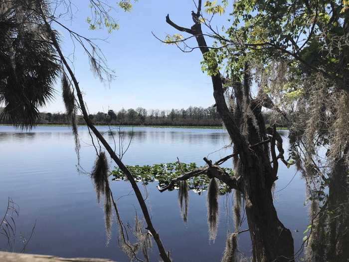 FLORIDA: Black Bear Wilderness Area Trail near Sanford