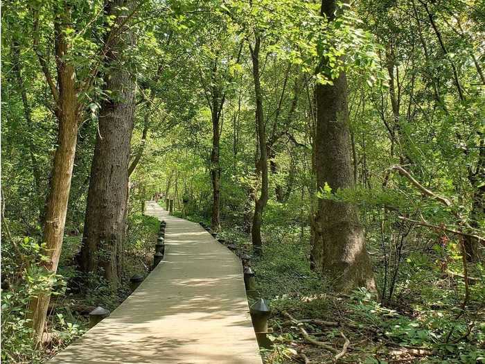 WASHINGTON, DC: Theodore Roosevelt Island Outer Loop in Washington, District of Columbia