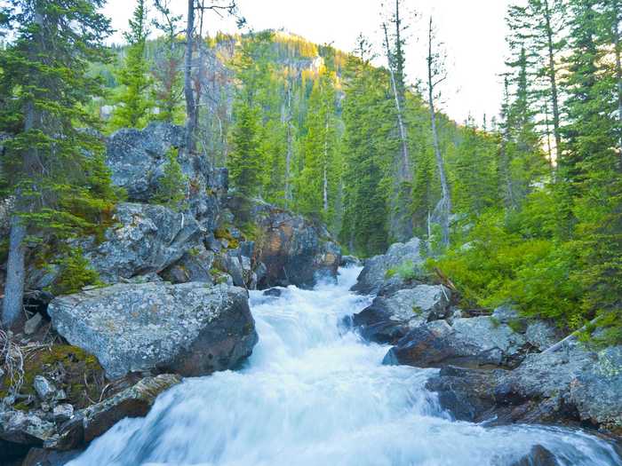 WYOMING: Grand Teton National Park in Moose