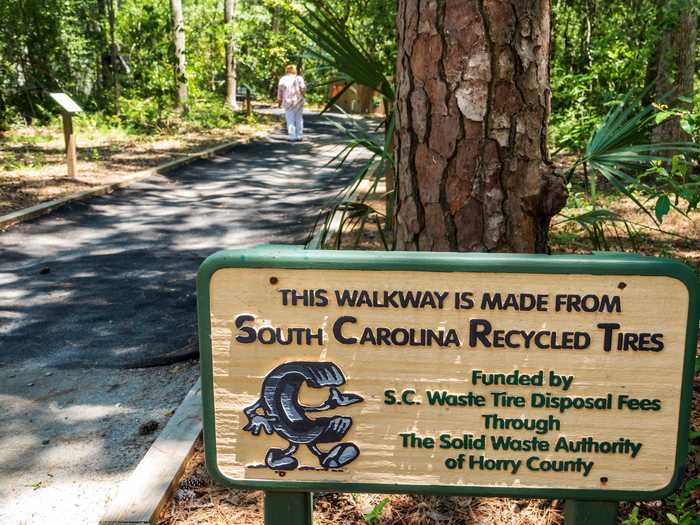 SOUTH CAROLINA: Myrtle Beach State Park in Myrtle Beach