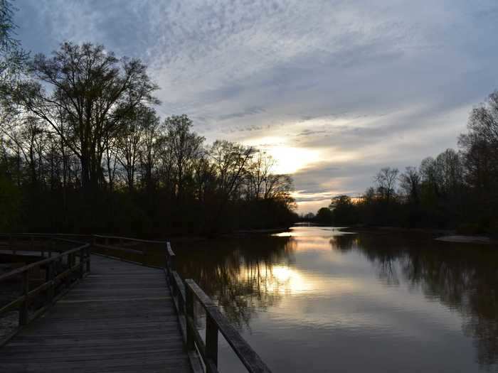 MISSISSIPPI: Yogi on the Lake in Pelahatchie