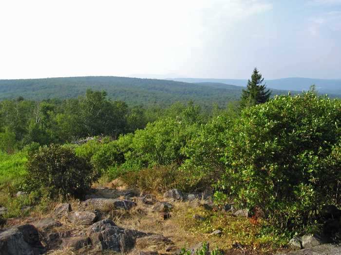 MASSACHUSETTS: Mt. Greylock Campsite Park in Lanesborough