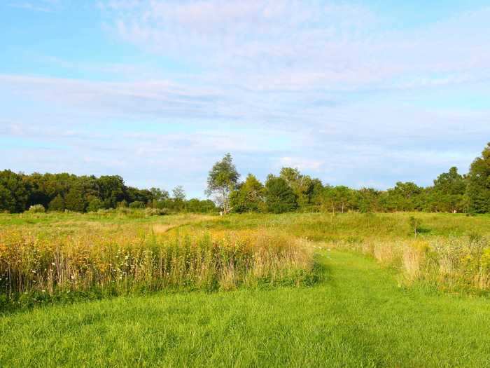 ILLINOIS: Shabbona Lake State Park in DeKalb County