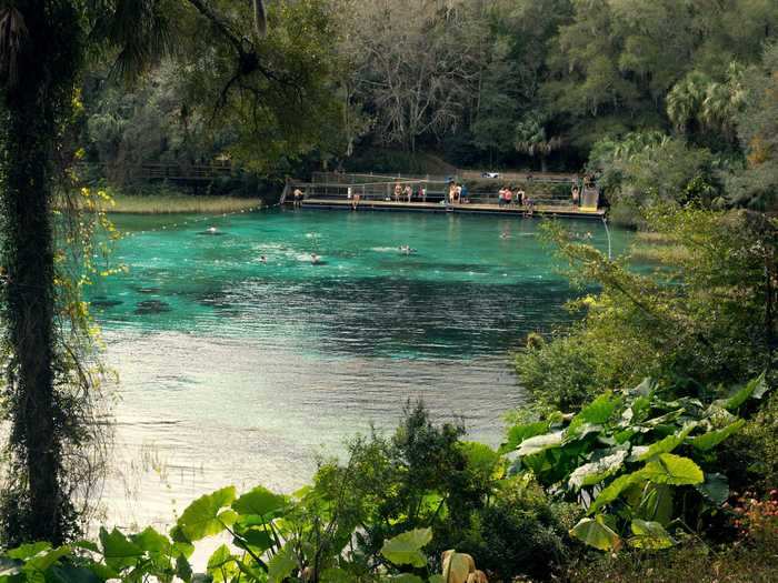 FLORIDA: Rainbow Springs State Park in Dunnellon