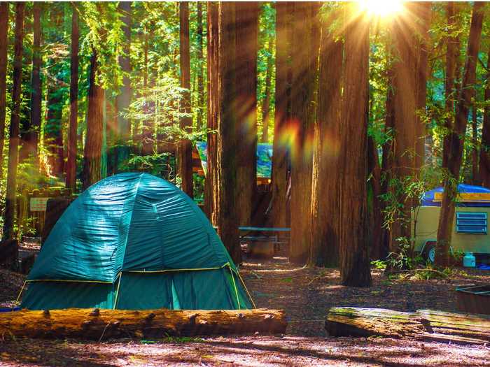 CALIFORNIA: Redwood National Park in Crescent City