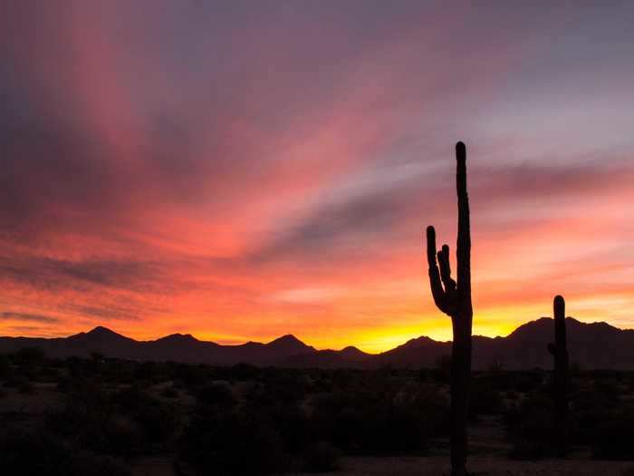 ARIZONA: McDowell Mountain Regional Park in Maricopa County