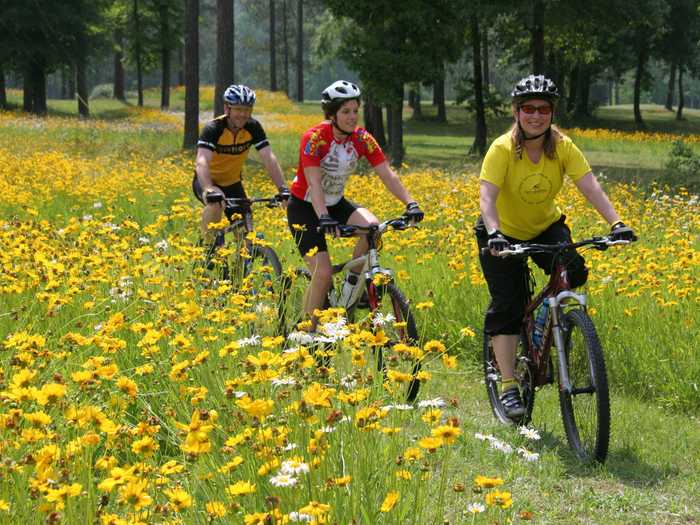 ALABAMA: Oak Mountain State Park in Pelham