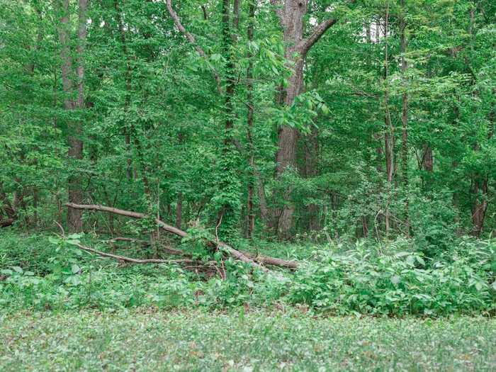 Head outdoors (if possible) and find full shade. If indoors, find a window