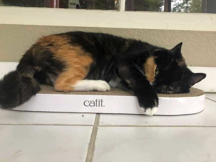 Catit Senses 2.0 Oval Scratcher