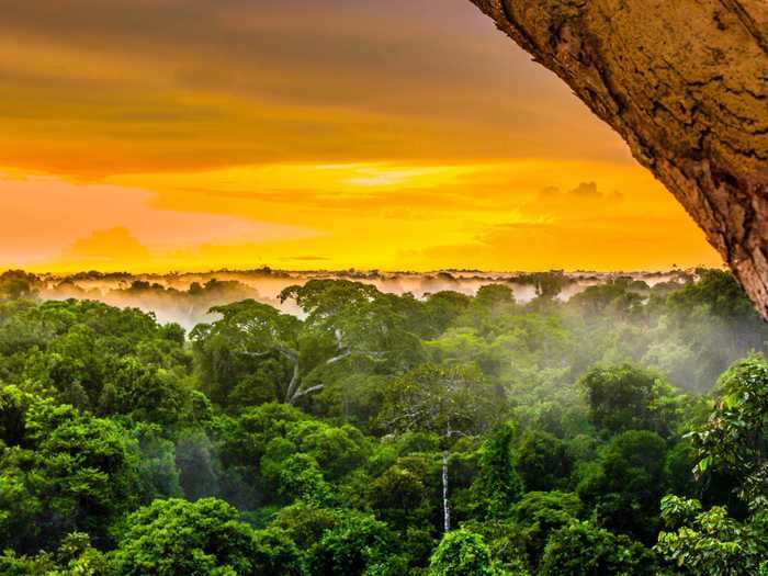 The beauty of the Amazon Rainforest covers multiple countries and is considered the world