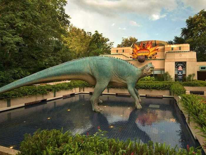 Many of the dinosaur fossils used at Animal Kingdom are real.